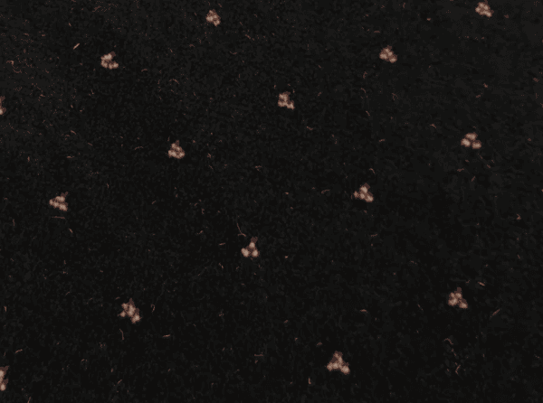 Фото - ковролина ковротекс софия 0006